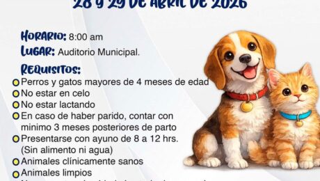 fb_597761571236734126_0