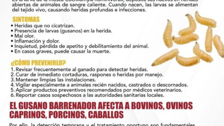fb_149961571236734126_0